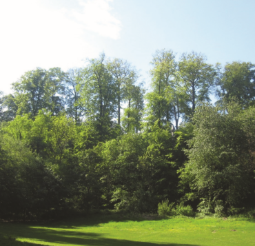 séance info arbres parc duden